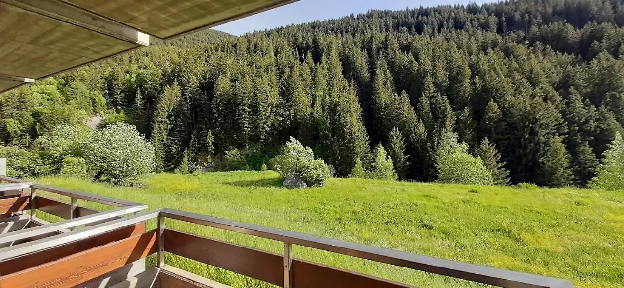 Domus Alpina Apartment Bormio